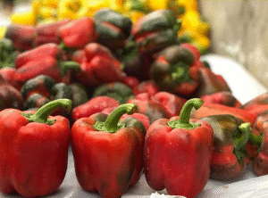 فلفل دلمه ای پادرا